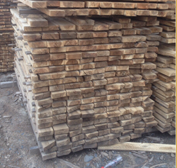 Nguyên liệu gỗ tràm